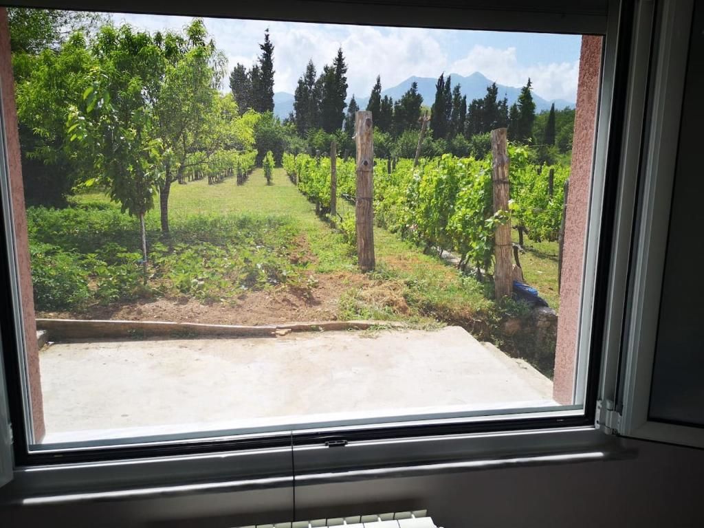 Дома для отпуска Lux House Majstorina Вирпазар