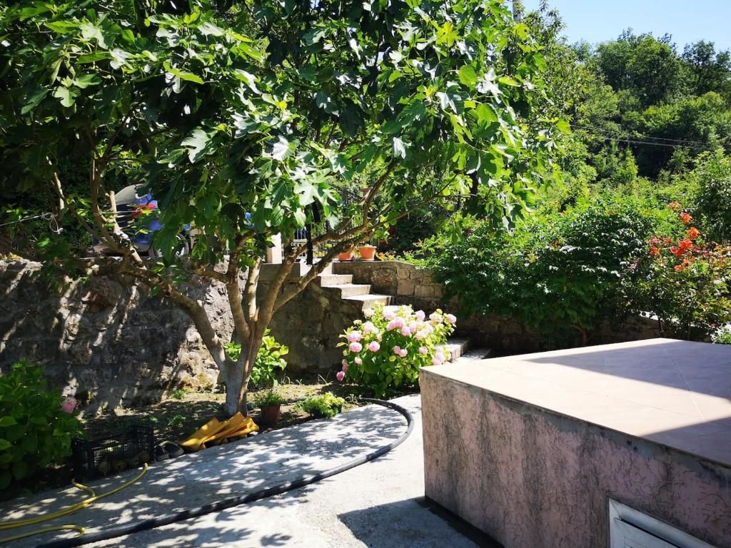 Дома для отпуска Lux House Majstorina Вирпазар